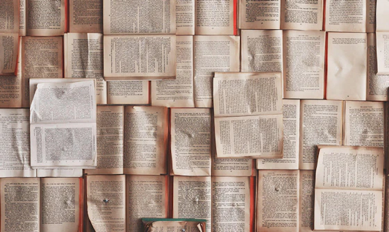 Introduction to Poetry with Betsy Bonner