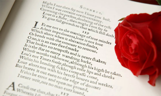 Poetry Intensive: The History and Use of the Sonnet with Phillis Levin
