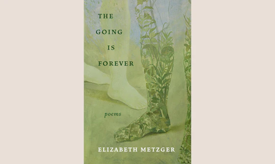 Advanced Poetry with Elizabeth Metzger