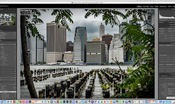 Photo Editing for Absolute Beginners