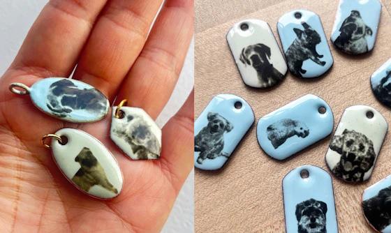 Getting Started: Enameled Pet Portraits