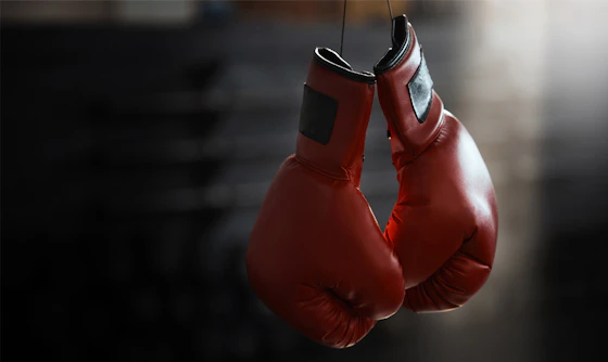 Boxing for Adults All Levels