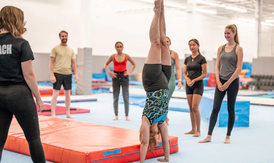Adult Gymnastics - All Levels