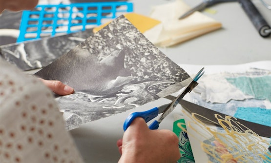 Collage & Mixed Media for Absolute Beginners