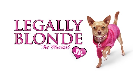 Musical Theater Teen Production: <em>Legally Blonde the Musical Jr.</em>